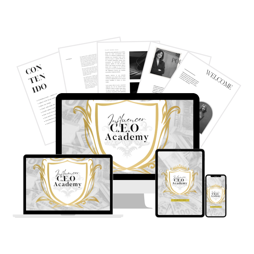 Influencer CEO Money Workbook